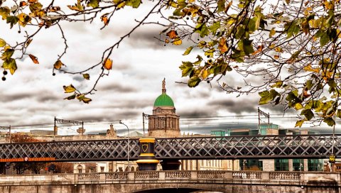 Дублин, Ирландия, здание, осень, деревья, мост