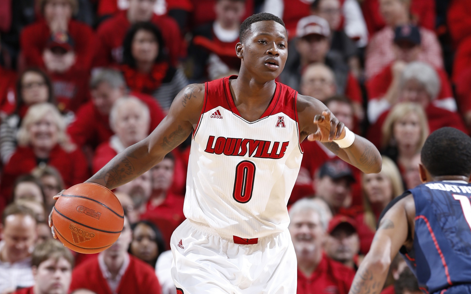 Картинки Terry rozier, louisville, баскетбол, nba фото и обои на рабочий стол