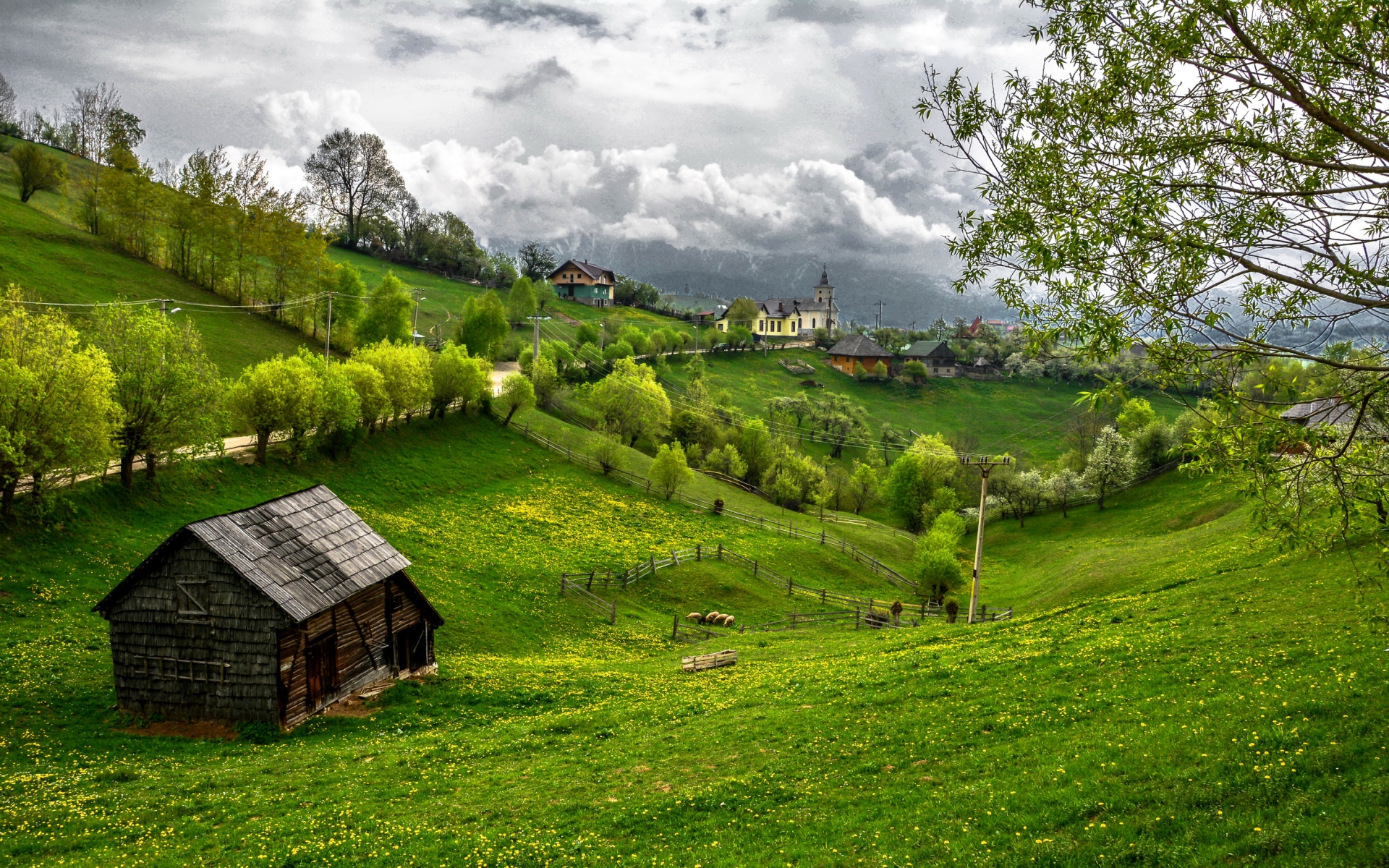 Картинки Румыния, Трансильвания, горы, трава, лето фото и обои на рабочий стол