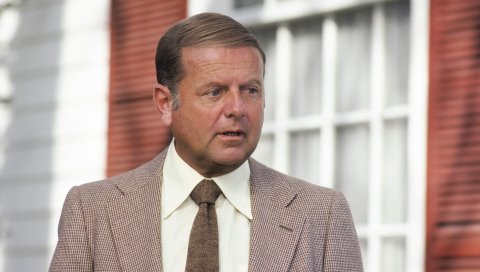 Dick van patten, знаменитость, мужчина, куртка, лицо, восемь достаточно