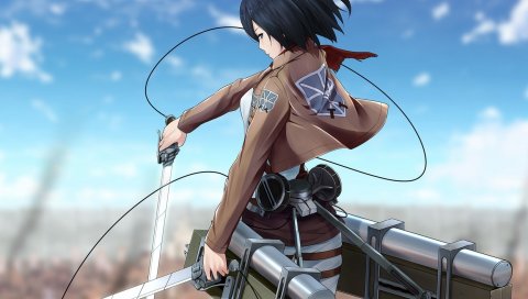 Mikasa ackerman, shingeki no kyojin, мечи, пушки