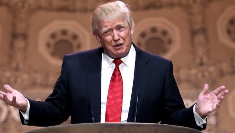 Donald козырь, бизнесмен, мужчины, производительность