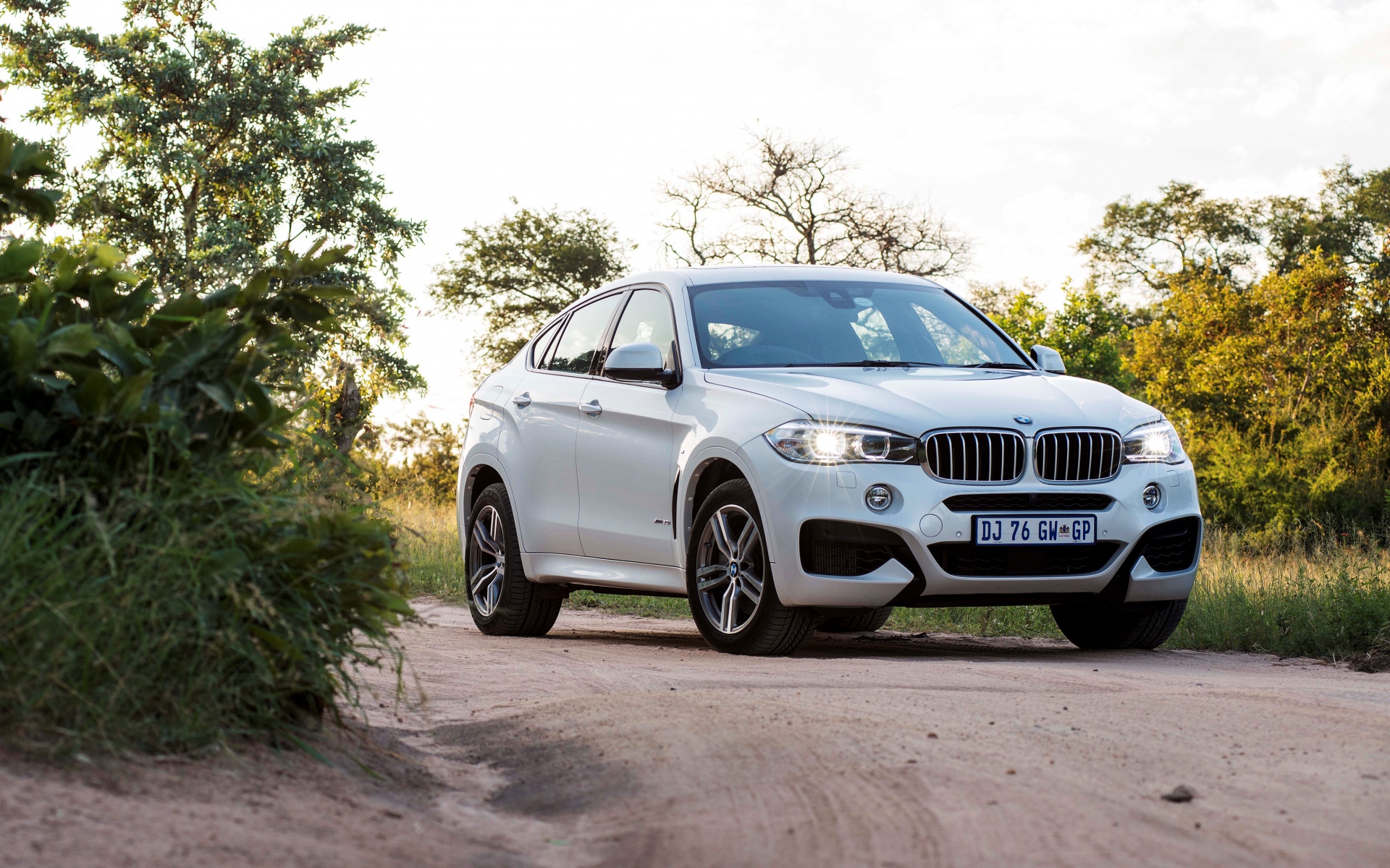 Картинки Bmw, x6, xdrive, спортивный пакет, za-spec, f16 фото и обои на рабочий стол