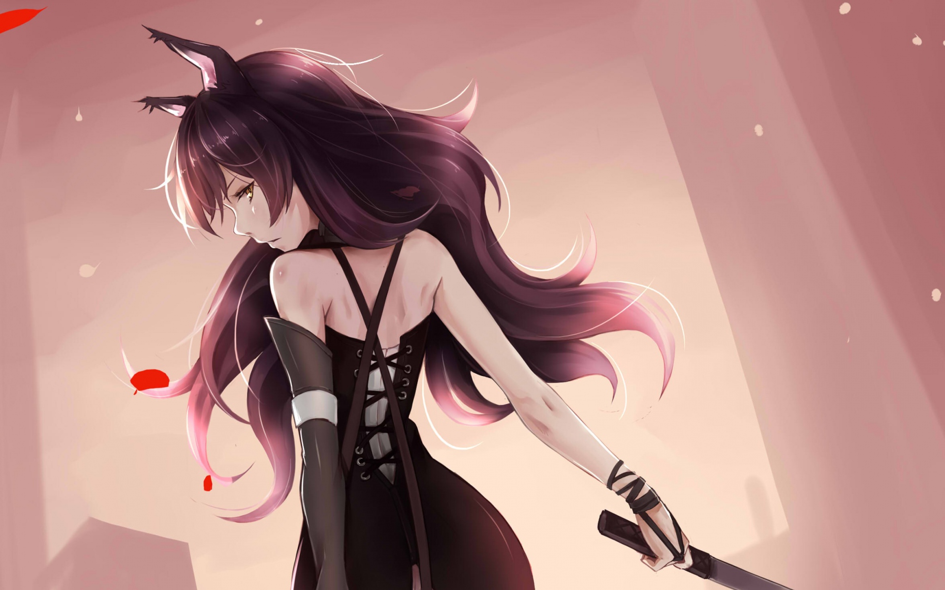 Картинки Rwby, blake belladonna, аниме, девушка, уши фото и обои на рабочий стол