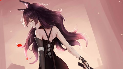 Rwby, blake belladonna, аниме, девушка, уши
