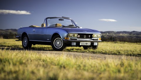 Peugeot 504, v6, кабриолет, поле