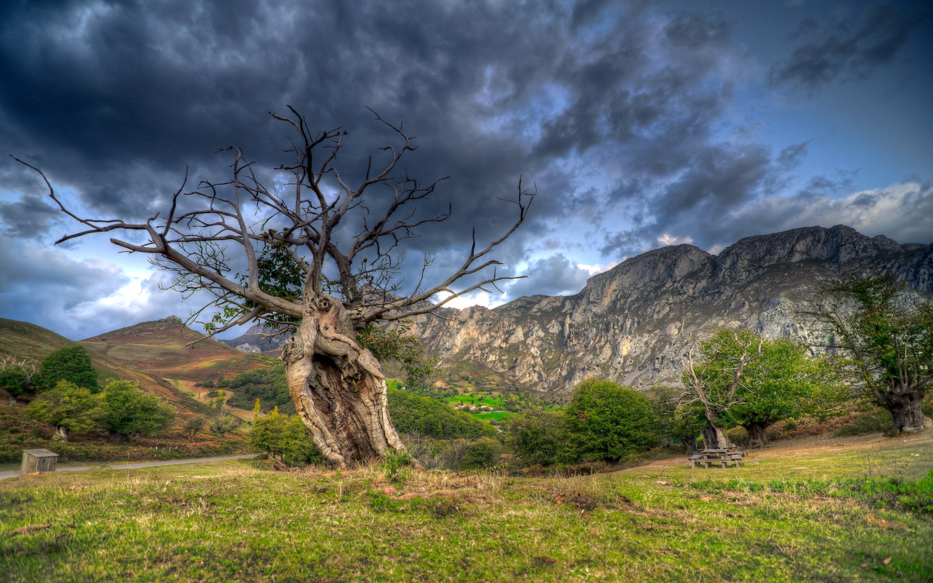 Картинки поле, трава, деревья, горы, скалы, небо, HDR фото и обои на рабочий стол