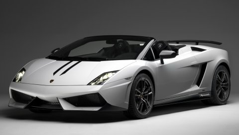 ламборджини, Gallardo, LP570-4, Spyder, белый