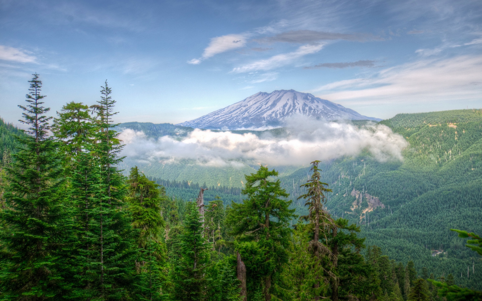 Картинки США, Вашингтон, горы, деревья, туман, HDR фото и обои на рабочий стол