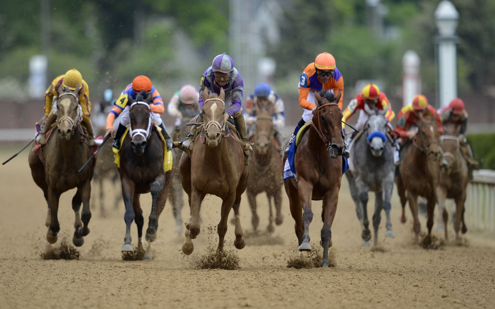 Картинки Kentucky Derby, Kentucky Derby 2015, Кентуки Дарби шансы, лошадь, спортивный фото и обои на рабочий стол