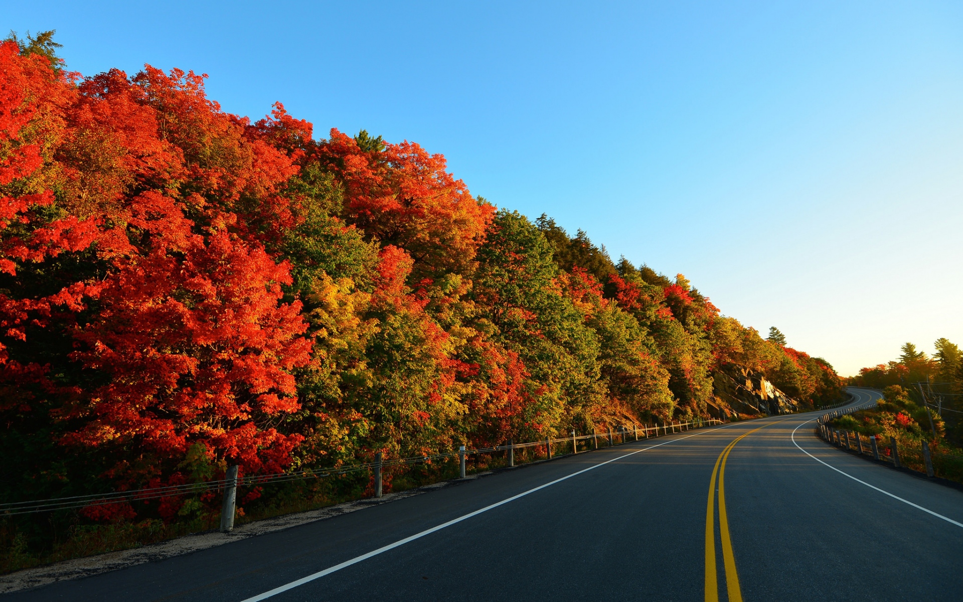 Картинки осень, дорога, поворот, деревья, маркировка фото и обои на рабочий стол
