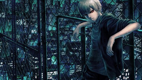 Tokyo ghoul, kaneki ken, мужчина, сеть, ночь, улица