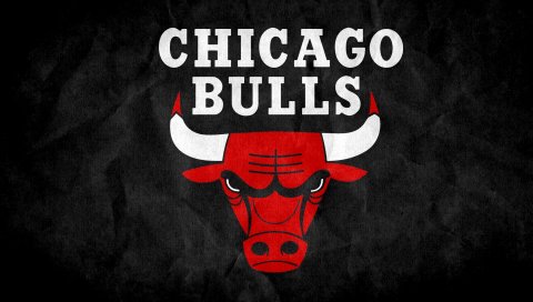 Chicago bulls, 2015, logo
