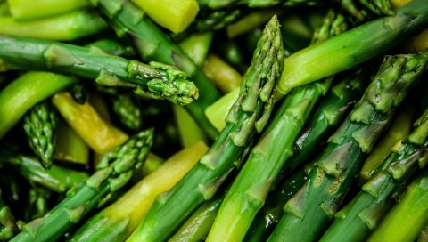 Spargel saison, спаржа, еда