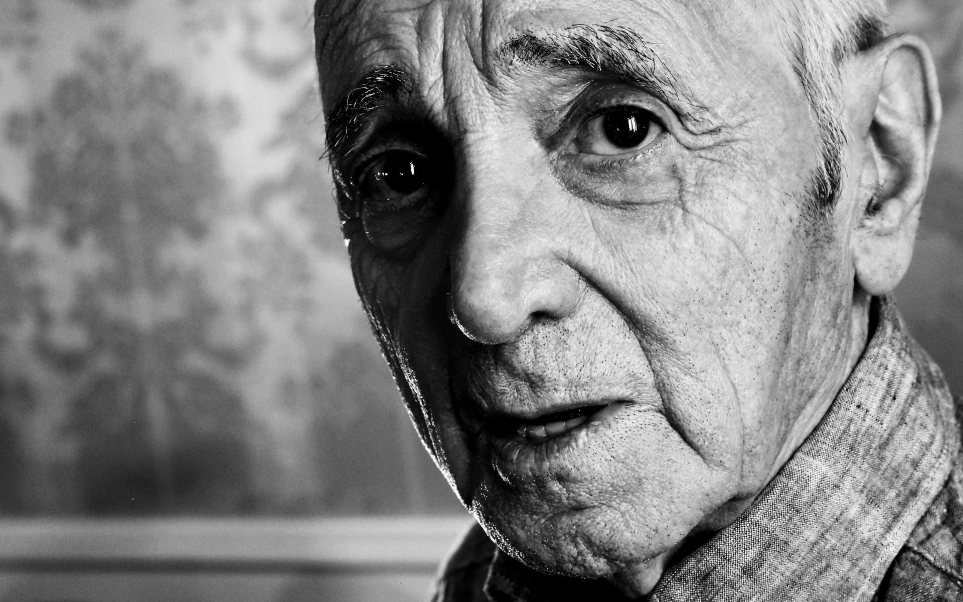 Картинки Charles aznavour, знаменитость, лицо, bw фото и обои на рабочий стол