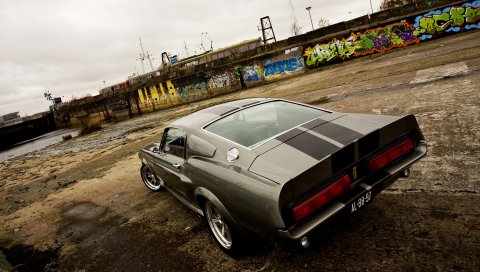 Ford, shelby, eleanor, gt 500