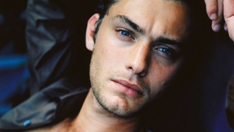 Jude law, актер, знаменитость, голубоглазый