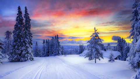 Норвегия, зима, лес, снег, деревья