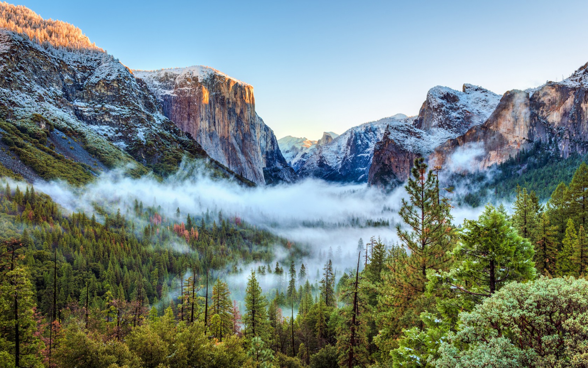 Картинки США, национальный парк Йосемити, Калифорния, горы, туман, деревья фото и обои на рабочий стол