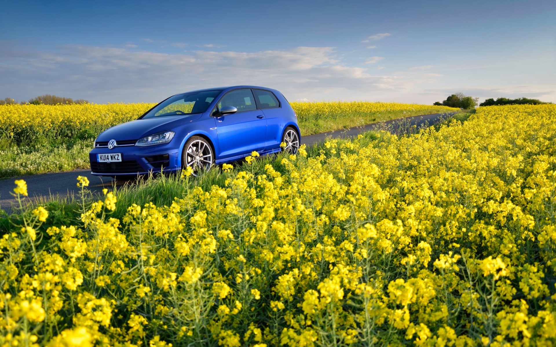 Картинки Volkswagen, golf r, mk7, цветы, поле фото и обои на рабочий стол