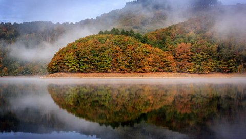 Люксембург, осень, отражение, деревья, озеро