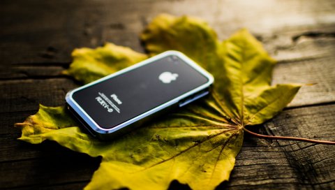 Iphone 4, iphone, мобильный телефон, кленовый лист