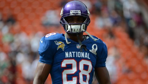Adrian peterson, 2015, minnesota vikings, американский футбол