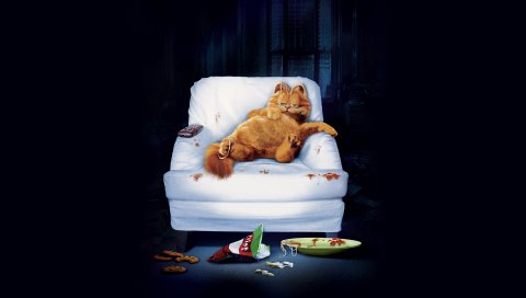 Garfield, 2004, cat