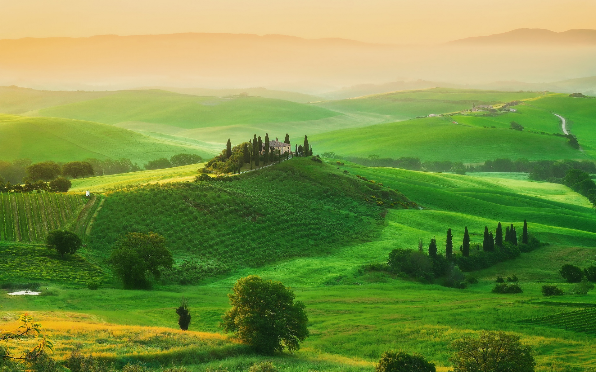 Картинки Италия, Тоскана, поле, ферма, трава фото и обои на рабочий стол