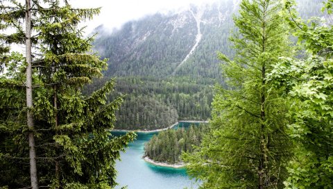 Германия, бавария, муних, лес, река, деревья