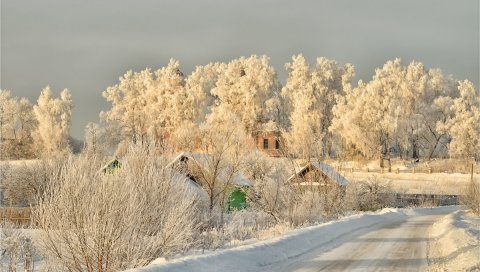 Зима, дорога, снег, деревья