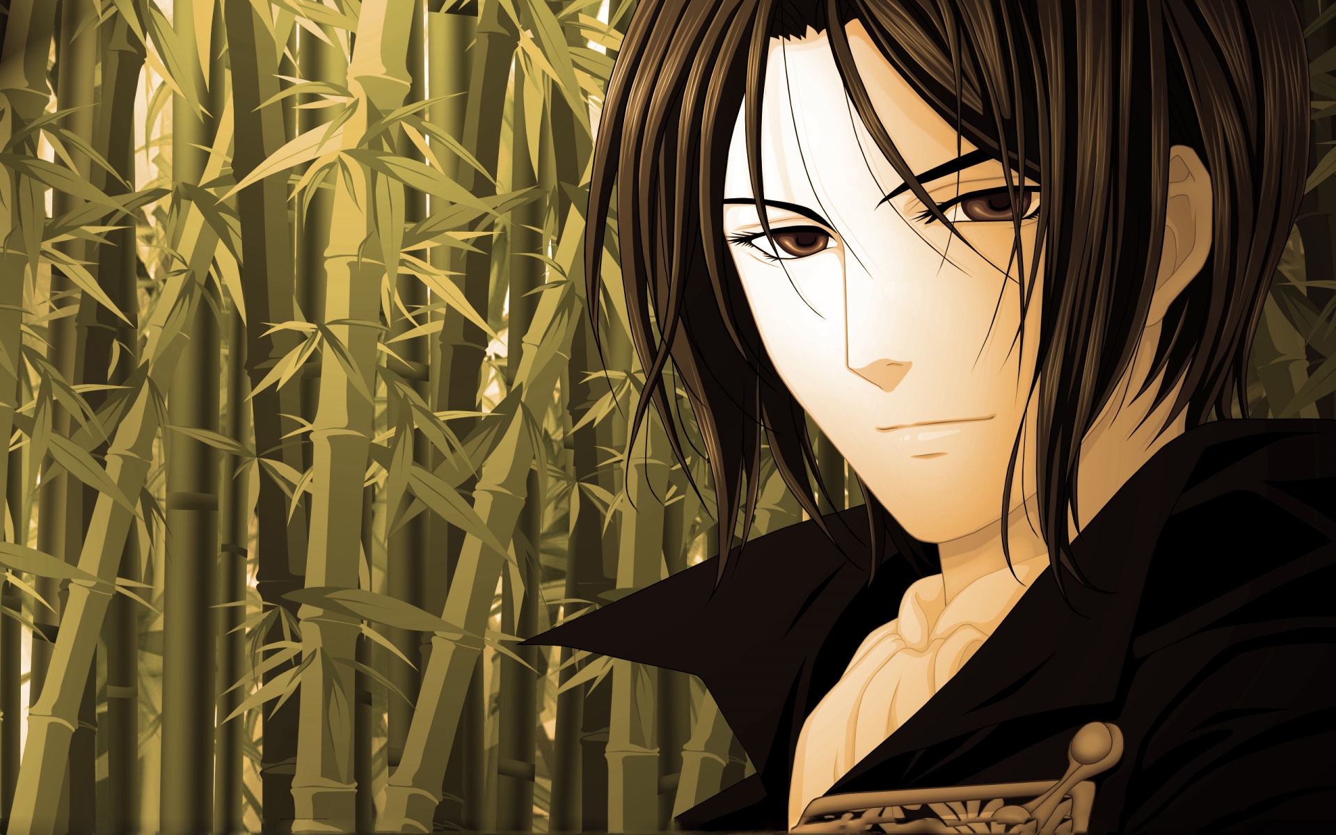 Картинки Hakuouki, shinsengumi kitan, bamboo, guy фото и обои на рабочий стол