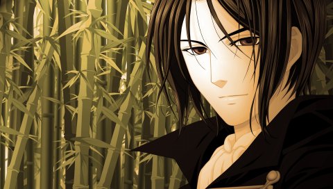 Hakuouki, shinsengumi kitan, bamboo, guy