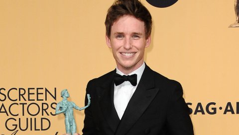 Eddie redmayne, oscar, лучший актер, 2015