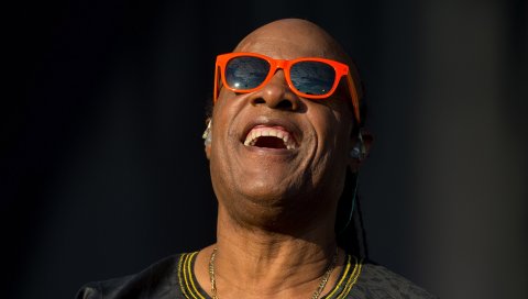 Stevie wonder, певец, концерт, 2015