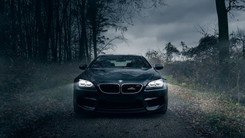 BMW m6, темный рыцарь, черный, лес, туман, передний бампер