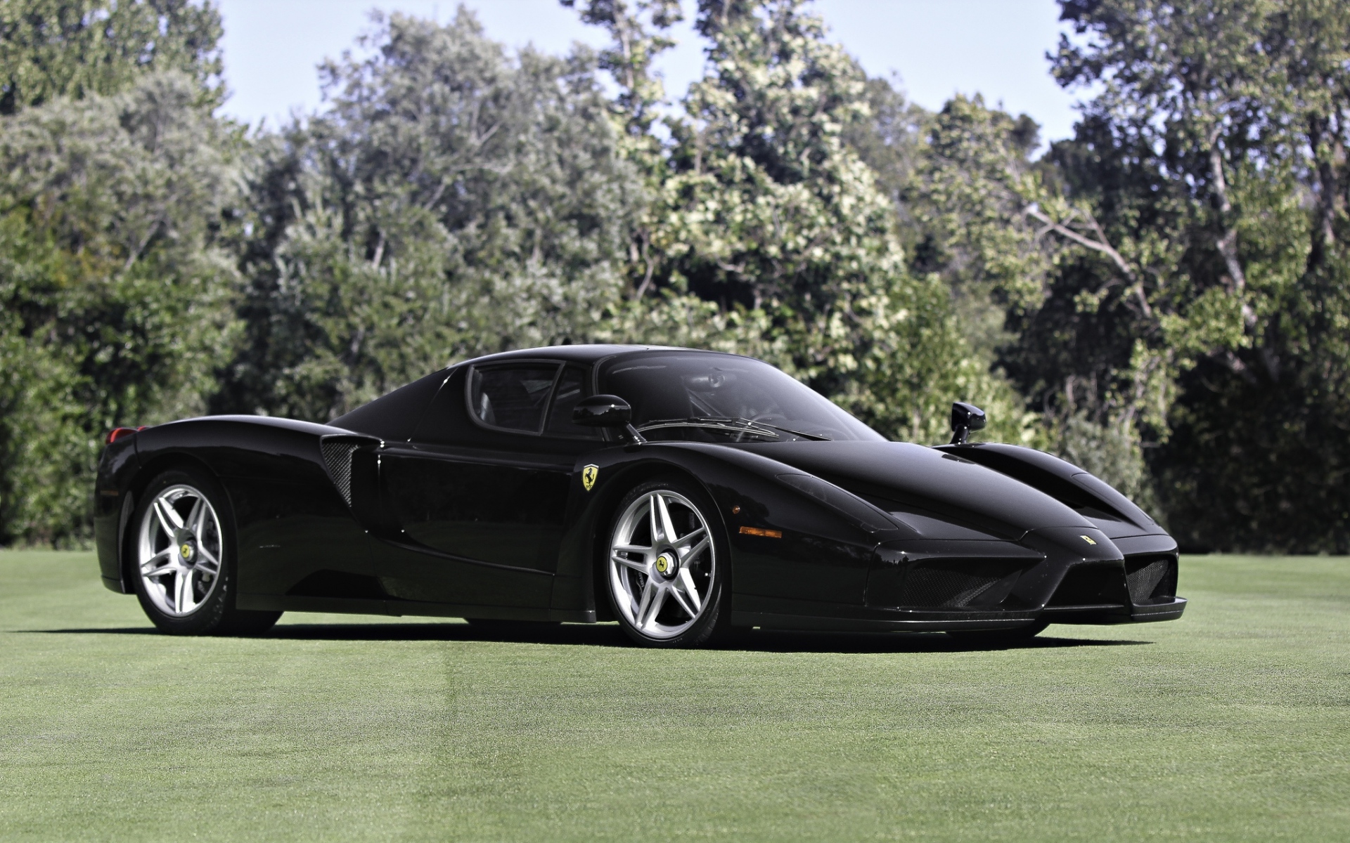 Картинки Ferrari, Enzo, черный, вид сбоку фото и обои на рабочий стол