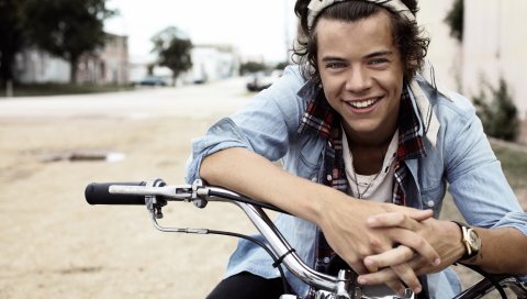 одном направлении, 1d, Харри Стайлс , музыкант, фотосессия