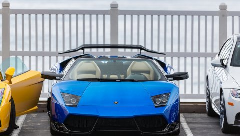 ламборджиньте, Murcielago, родстер, Gallardo, BMW