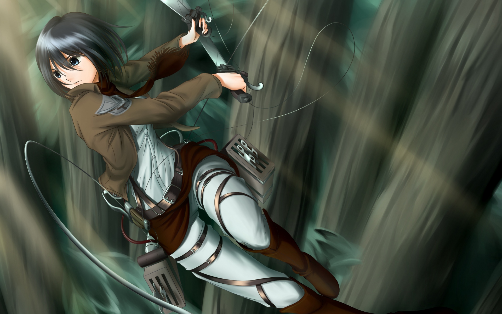 Картинки Akatsuki-Сора, Mikasa Ackerman , не shingeki нет Kyojin, девушка, искусство, оружие фото и обои на рабочий стол