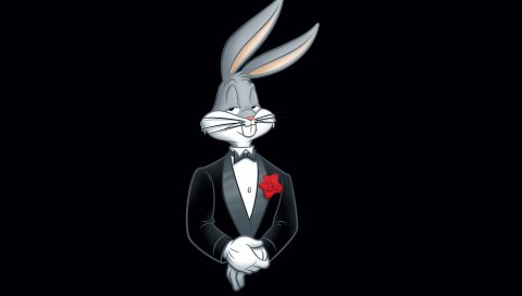 Looney Tunes, ошибки кролик, кролик, смокинг, цветок