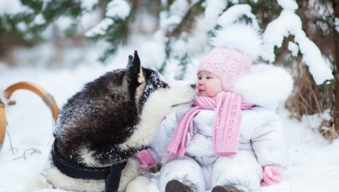 Хаски, собака, ребенок, снег, зима, фотосессия