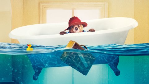 Paddington, paddington bear, 2015, 2015, фильм, ванная