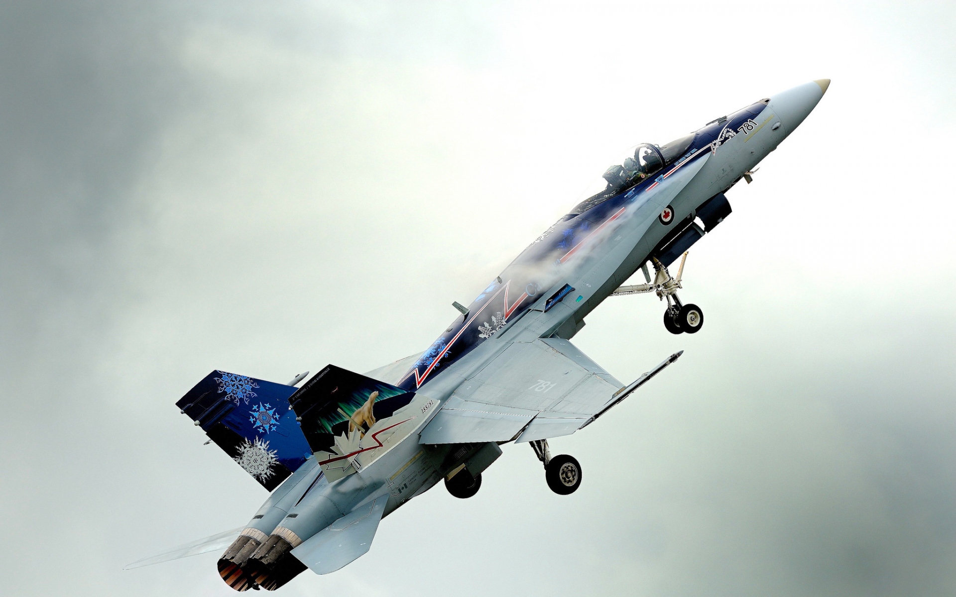 Картинки Шершень, cf-188a, истребитель фото и обои на рабочий стол
