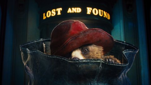 Paddington, 2014, медведь, шляпа