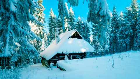 Польша, дом, лес, снег, зима