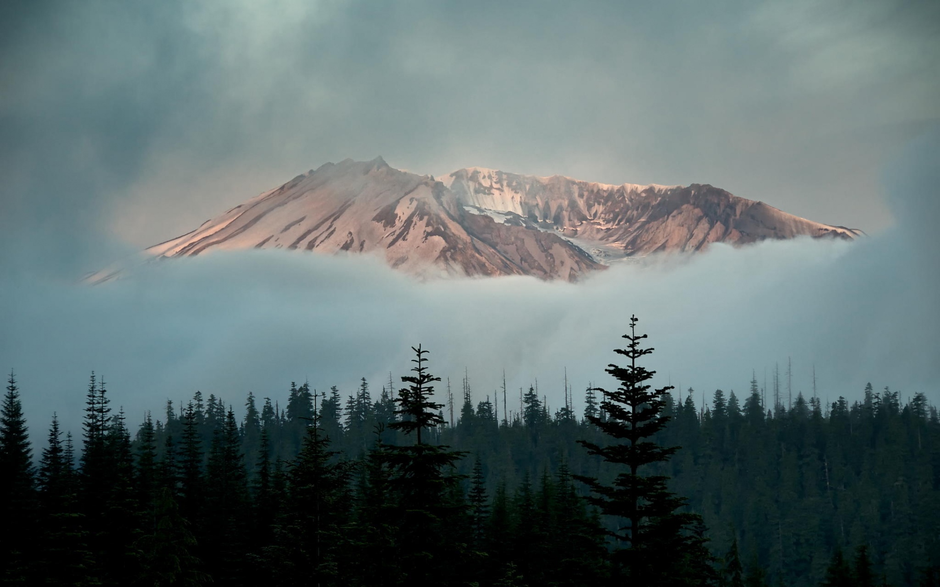 Горы деревья туман