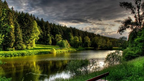 Река, лето, скамейка, деревья