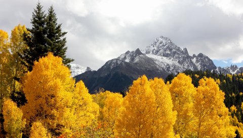 Горы, деревья, снег, пики, осень