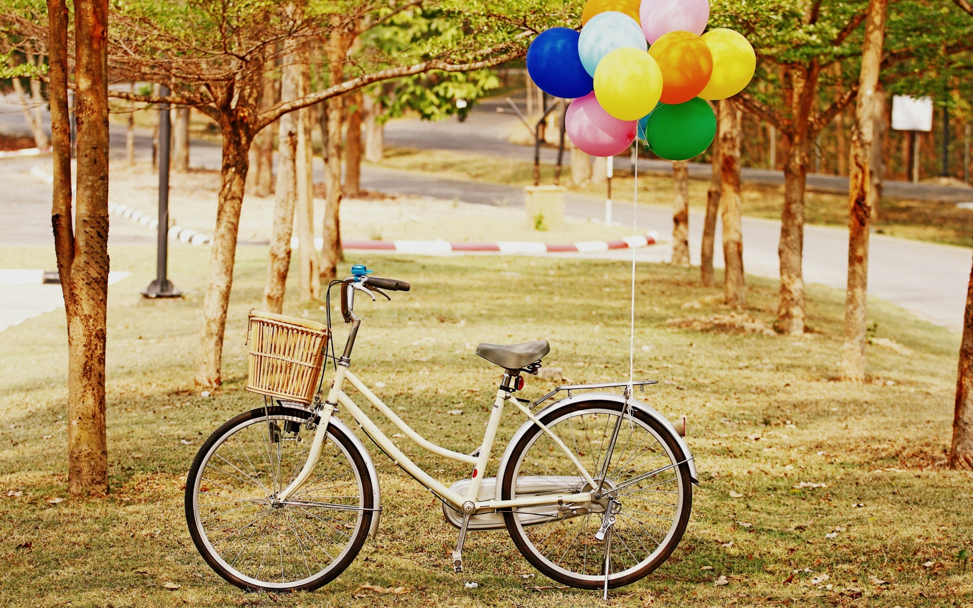 Картинки велосипед, парк, воздушные шары, трава фото и обои на рабочий стол
